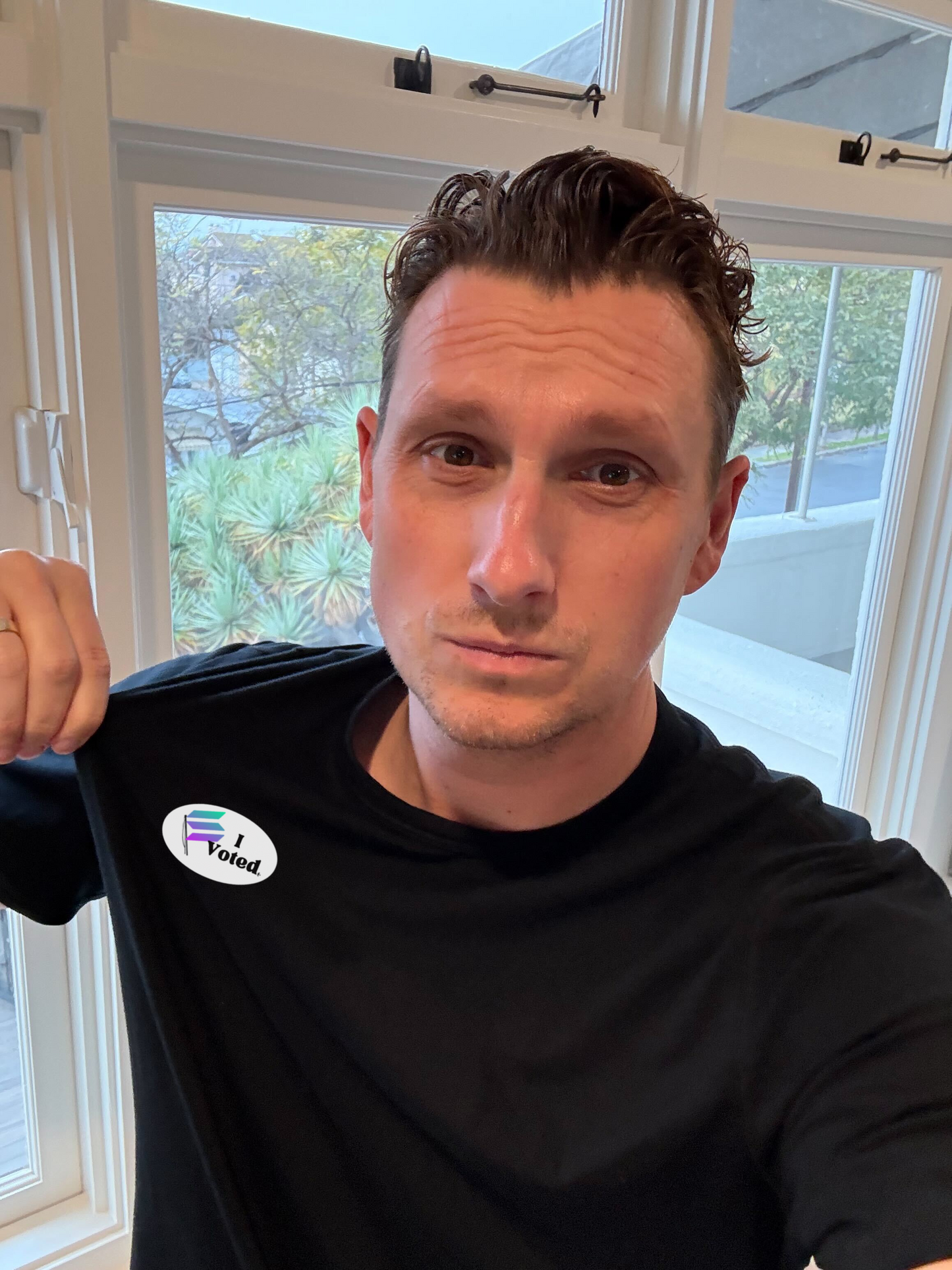 "I Voted for Solana SIMD-228 & SIMD-123" Sticker